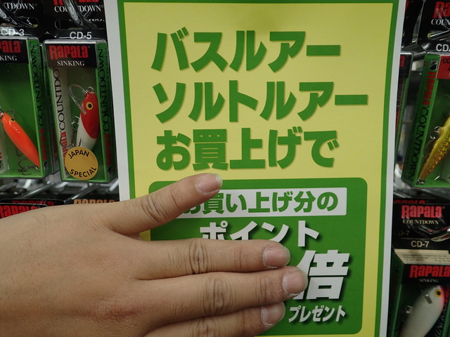 tpc10013-3.JPG