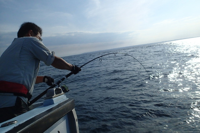 tpc34161-main.JPG