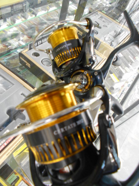 tpc5215-2.JPG