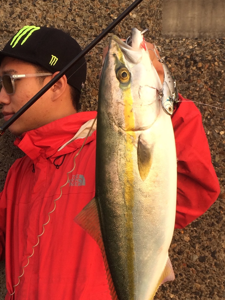 最新釣果 青戸店 釣具のキャスティング