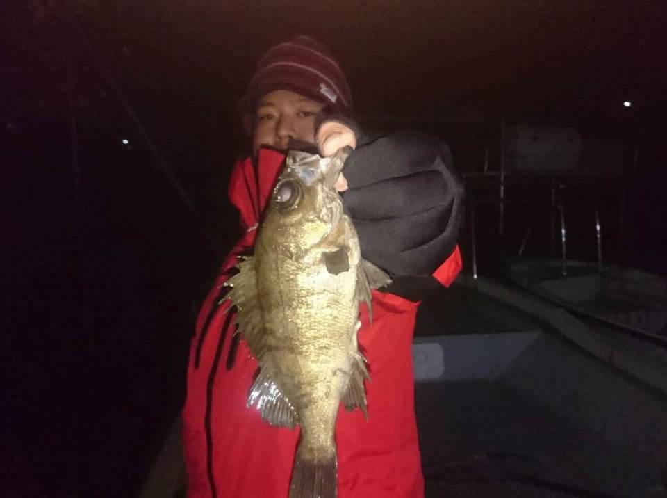 最新釣果 木更津店 釣具のキャスティング