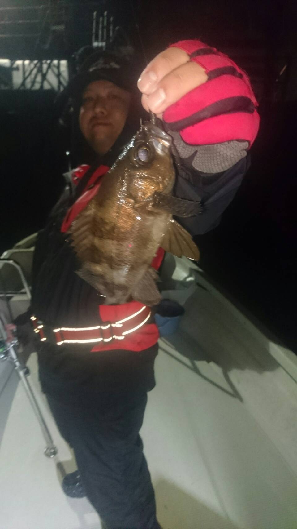 最新釣果 木更津店 釣具のキャスティング