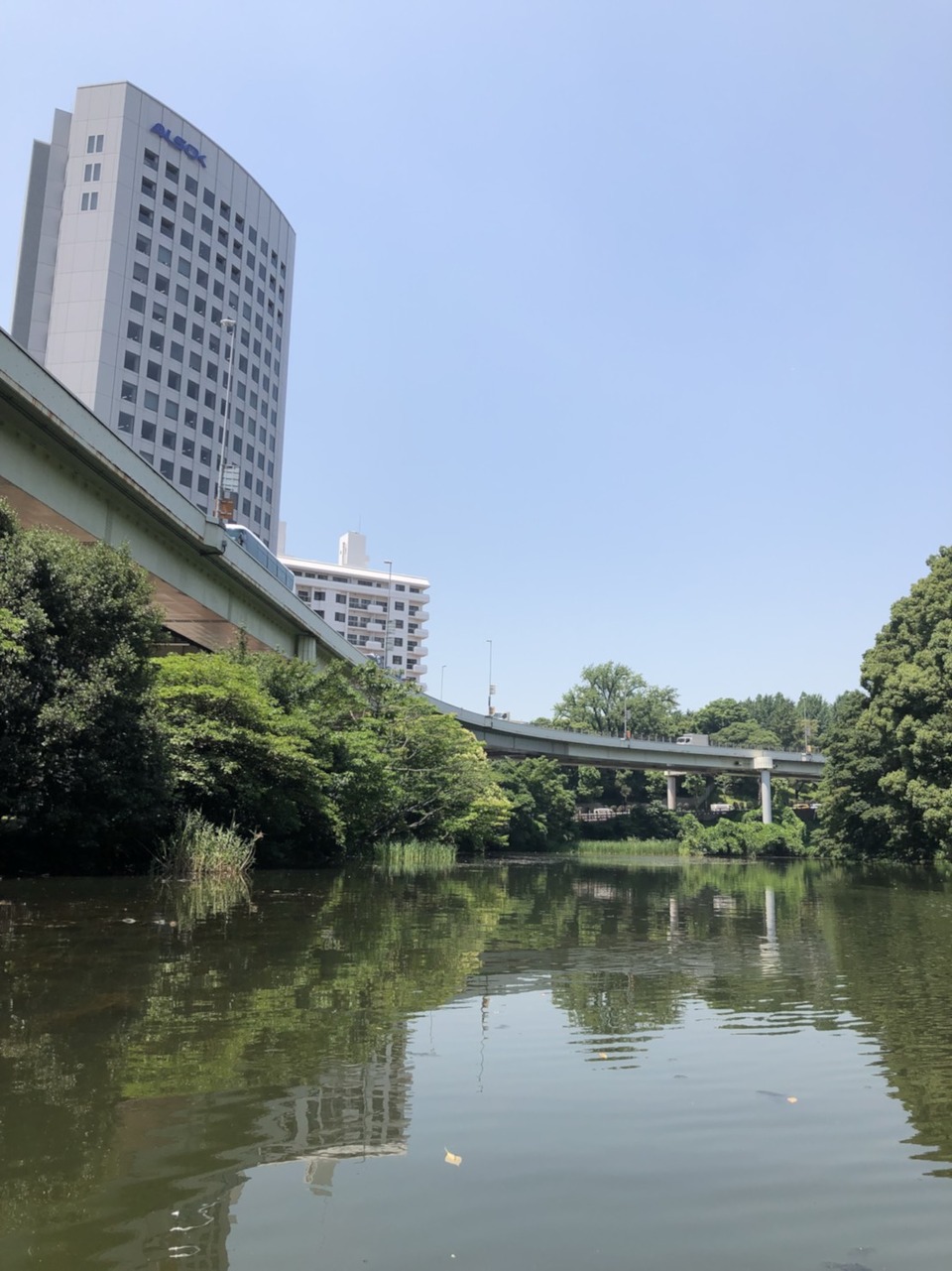 最新釣果 稲田堤店 釣具のキャスティング