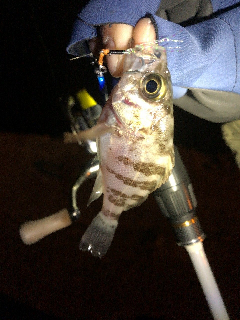 最新釣果 水戸店 釣具のキャスティング