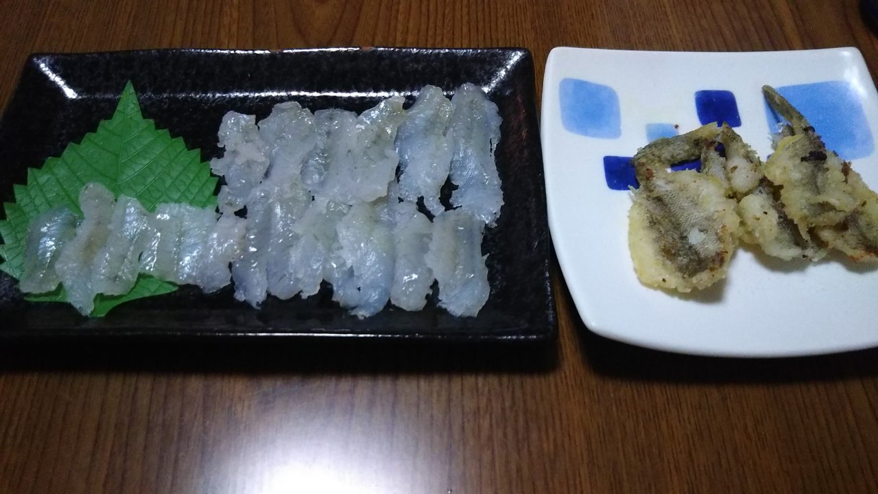 最新釣果 日本橋店 釣具のキャスティング