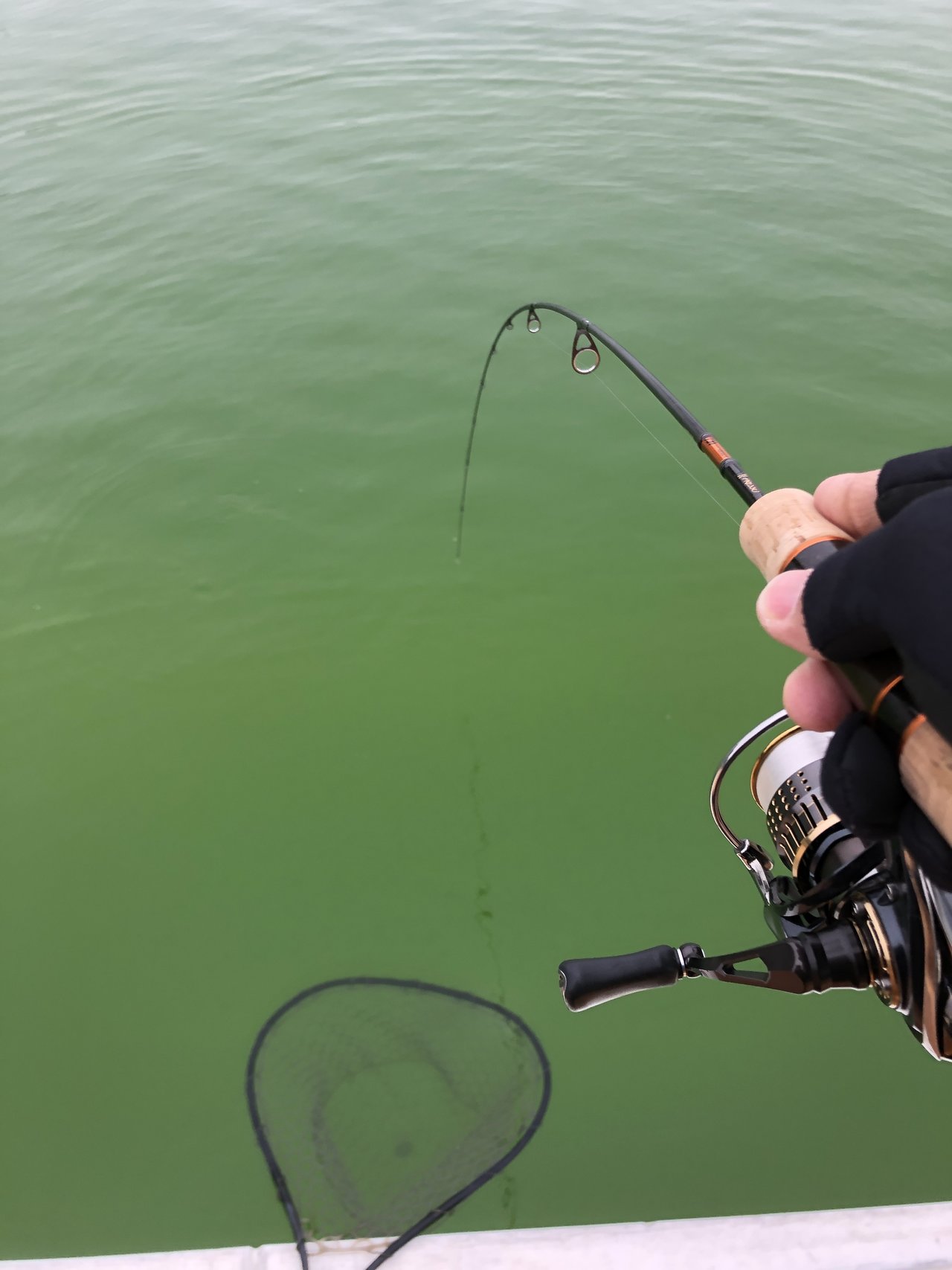 最新釣果 羽村店 釣具のキャスティング