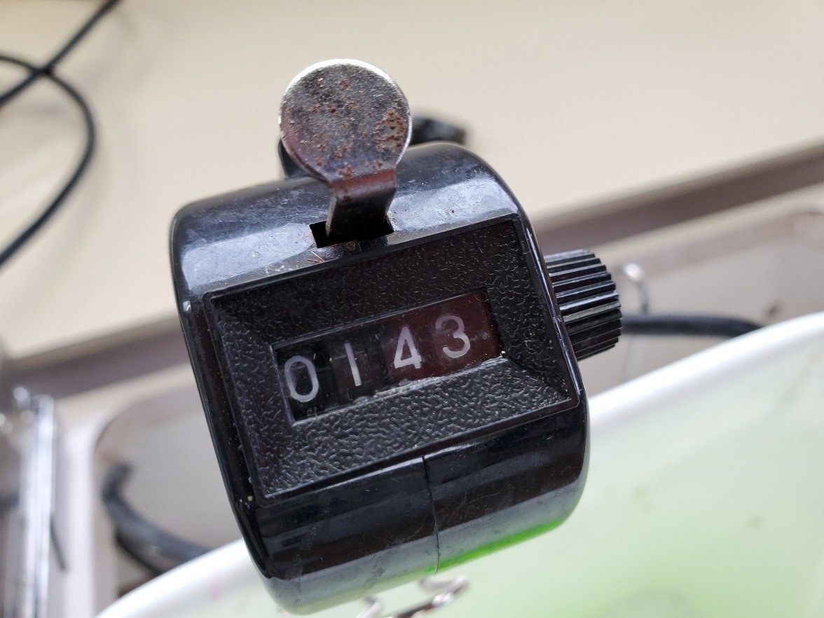 最新釣果 府中店 釣具のキャスティング