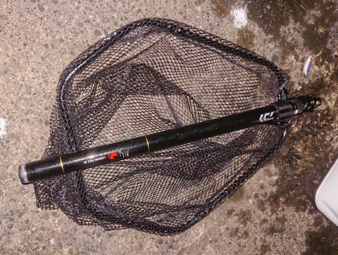 DAIWA ダイワ 月下美人 ランディングポール 25 玉の柄 アジング  