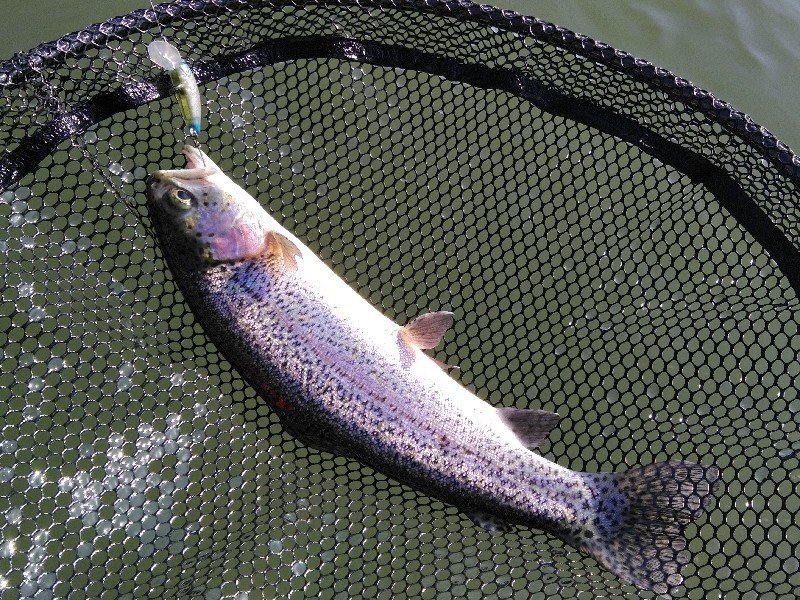 年03月19日 木 東京都 東久留米店の釣果です 釣具のキャスティング