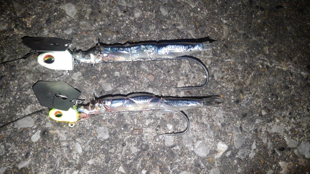 最新釣果 横浜磯子店 釣具のキャスティング