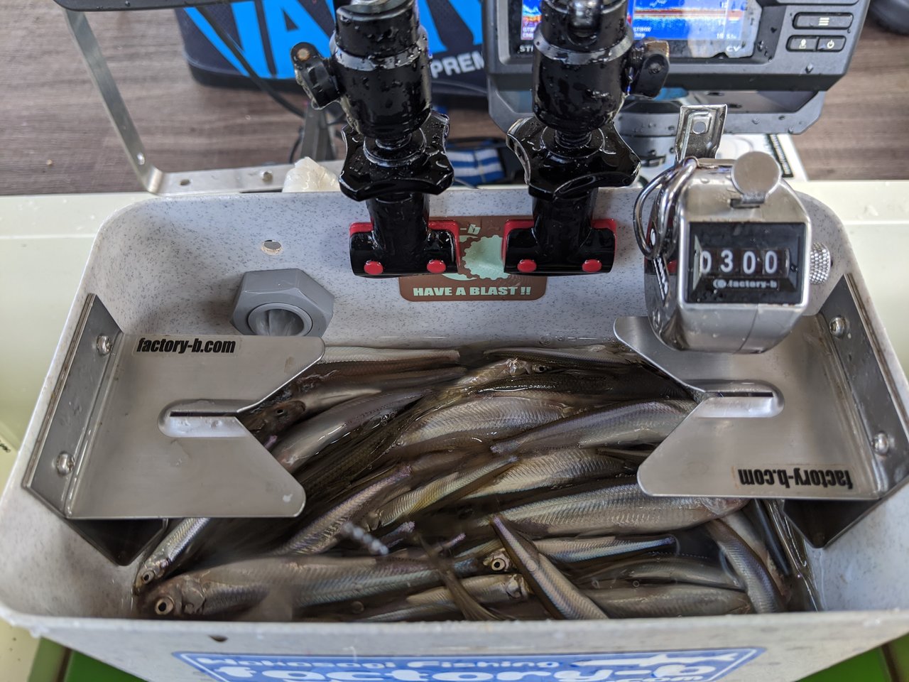 最新釣果 八王子店 釣具のキャスティング