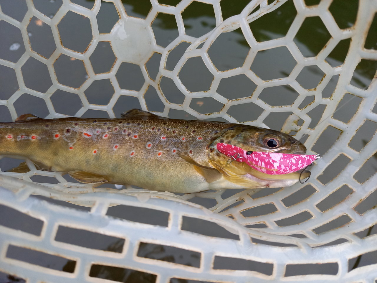 21年01月07日 木 千葉県 木更津店の釣果です 釣具のキャスティング