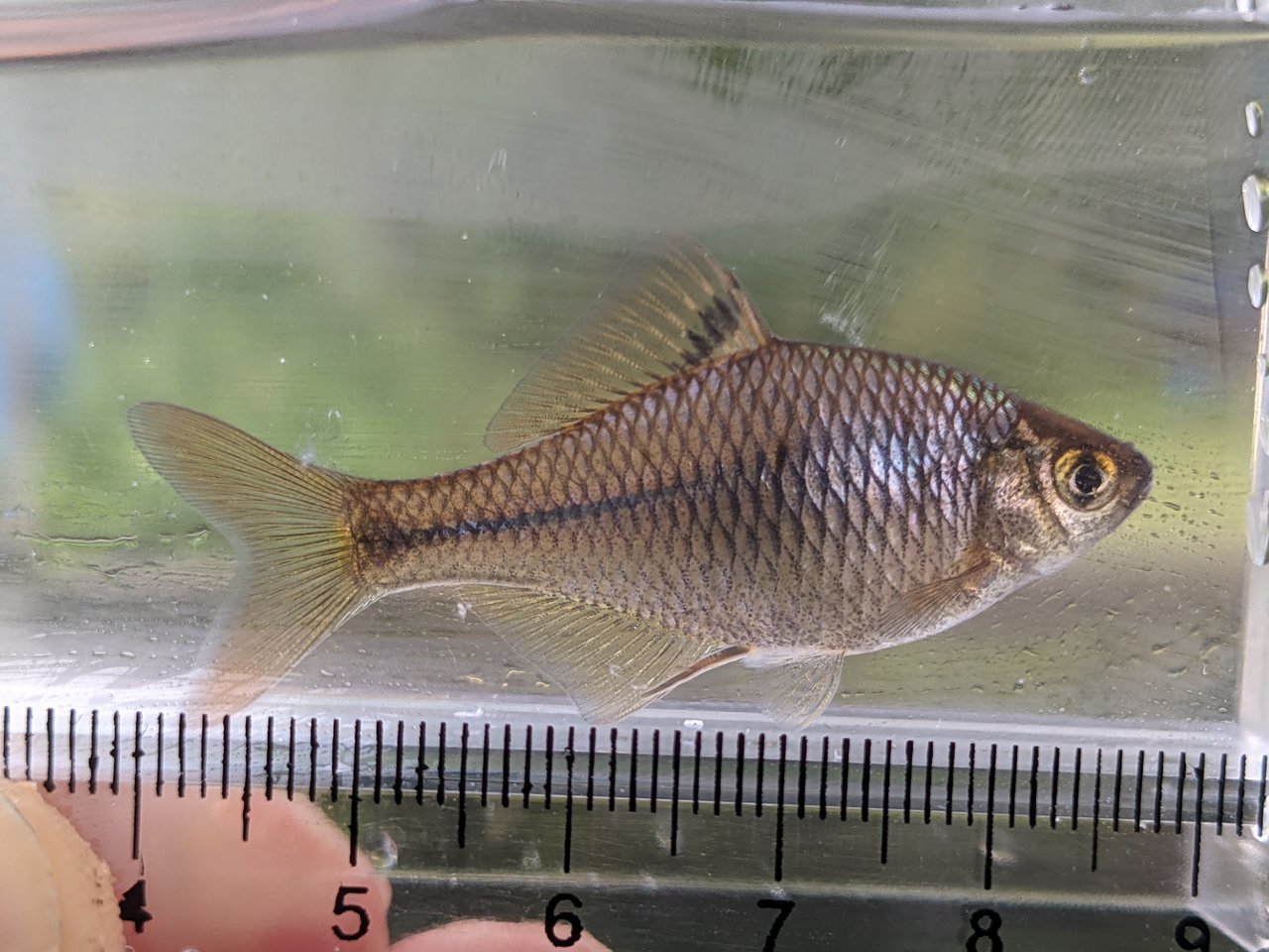 最新釣果 釣具のキャスティング