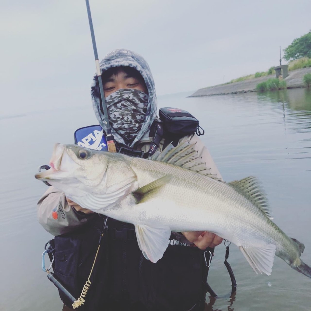 最新釣果 釣具のキャスティング