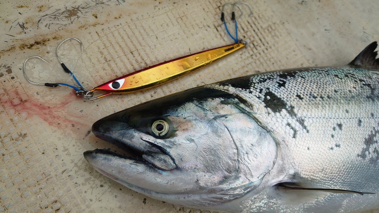 R3h008a 干菓子 徳島銘菓 和三盆糖 わさんぼんとう 160粒入