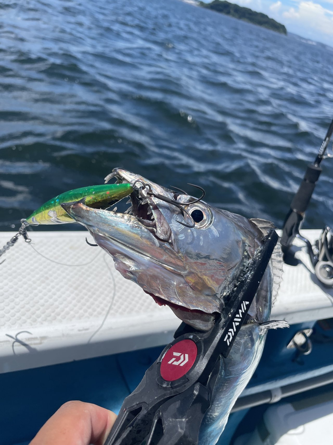 最新釣果 釣具のキャスティング