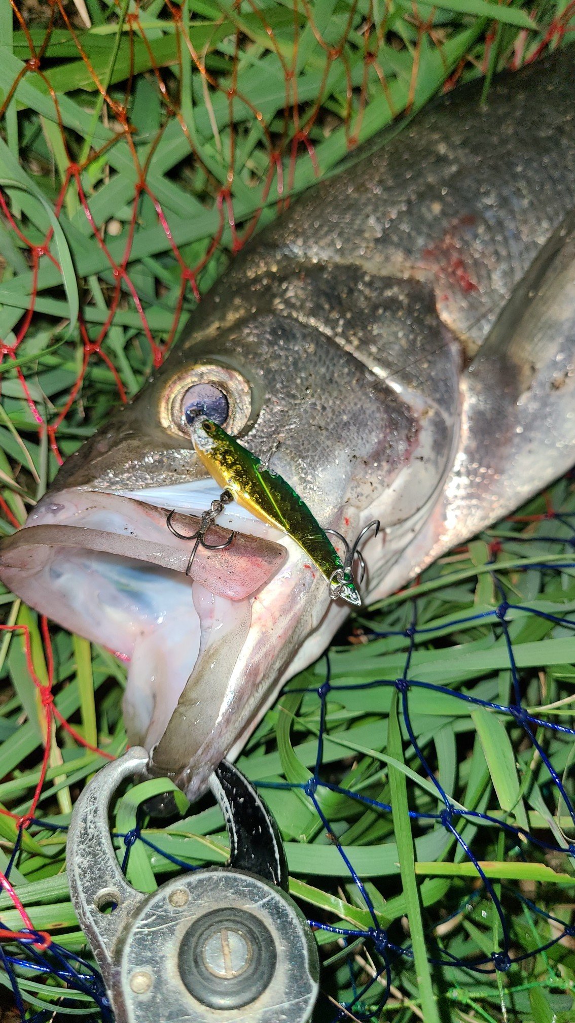 38 割引 一つ目の項目を先に選択してください 9m国内初の直営店 G2d3034工場直販ノン釣りリール釣りワンツー海釣りおすすめルアー釣り磯釣り 海の幸釣り波機うなぎ釣 フィッシング用品 アウトドア 一つ目の項目を先に選択してください 9m Www Danieladler De