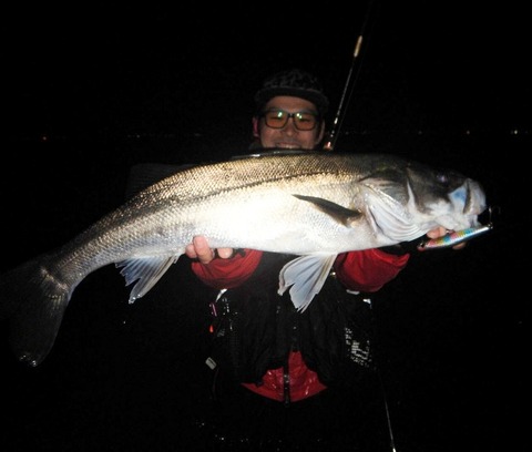 風神ad アピア フロウハント810ml アピア(APIA) Foojin'AD FLOW HUNT