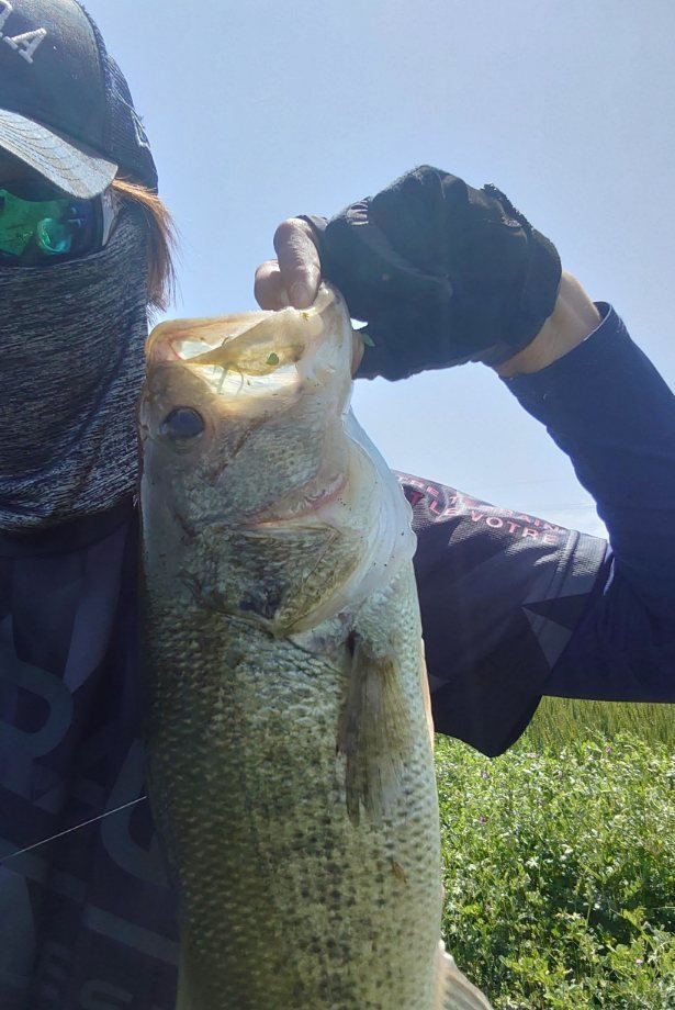 2023年04月17日(月) 福岡県 太宰府店の釣果です。[釣具のキャスティング]