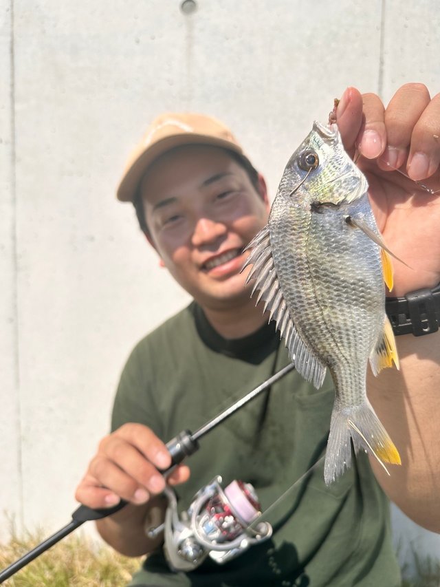 DAIWA - FISHCRMAN フィッシャーマン　キャスティング 鶴見駒岡店 [釣具のキャスティング]