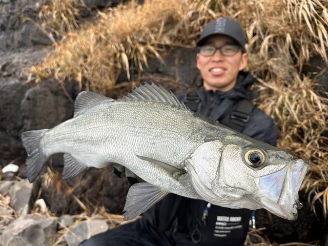 アバス君 さんの 2020年06月01日のスズキの釣り・釣果情報(福岡県 - 神湊漁港) - アングラーズ