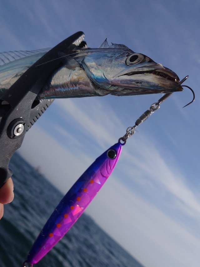 レジットデザイン スクアド SKC65UL-TACHIUO タチウオジギング