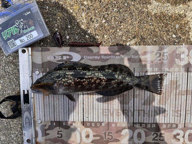 ③宮城県内採集　刺突具　3点 ③宮城県内採集 刺突具 3点