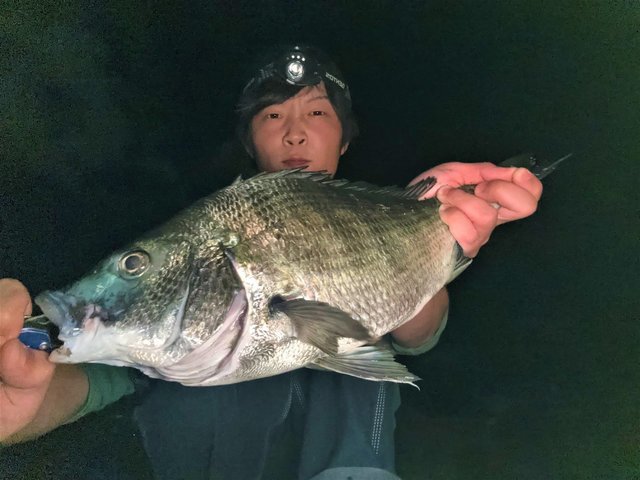 田村釣具　河豚 Yahoo!オークション -「田村」(淡水) (ハードルアー)の落札相場
