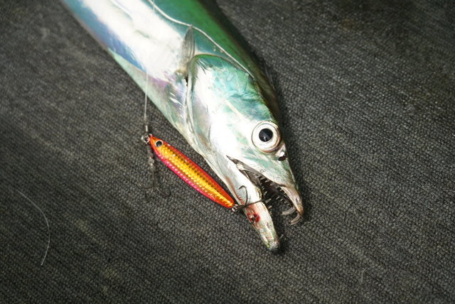 キャスティングルアー mqdefault.jpg