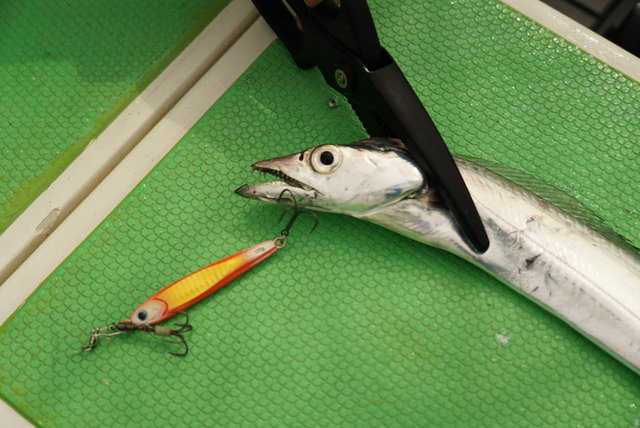 キャスティングルアー mqdefault.jpg