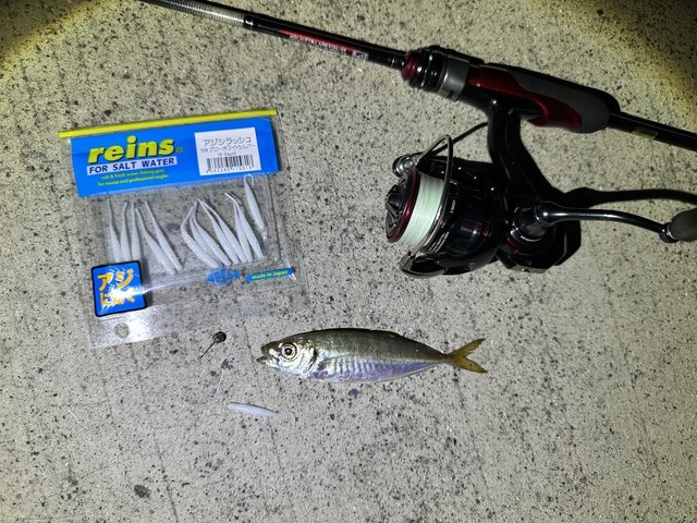 ベイトリール ダイワ 11B-49-012-1] リール DAIWA ダイワ 19 LIGHT SW X IC 手動