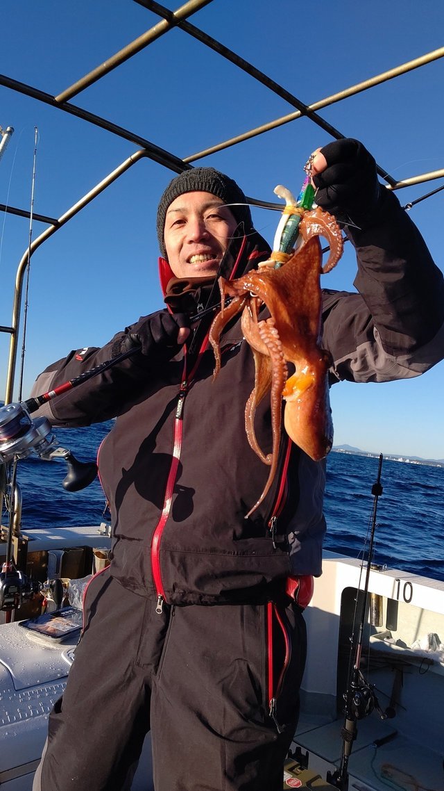 冷凍品 タコラード 釣り 餌 つりえさ 身エサ 蛸 タコ 約200g