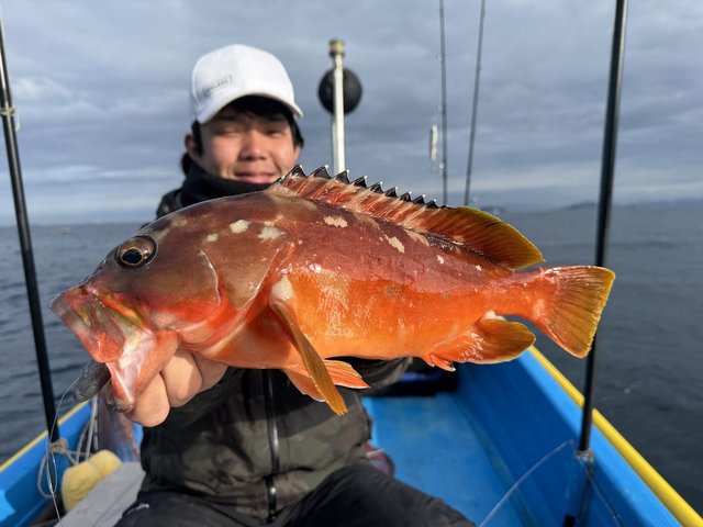 ダイワ ヘラ X11・Y 【ndrod04】 ダイワ ヘラ X7・Y 【ndrod04