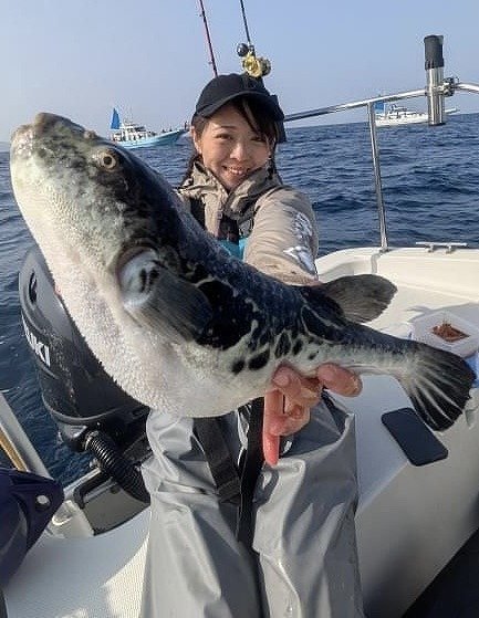 たろきち 丸物20キロ たろきち 丸物20キロ たろきち 丸物20キロ 片瀬江ノ島・島きち
