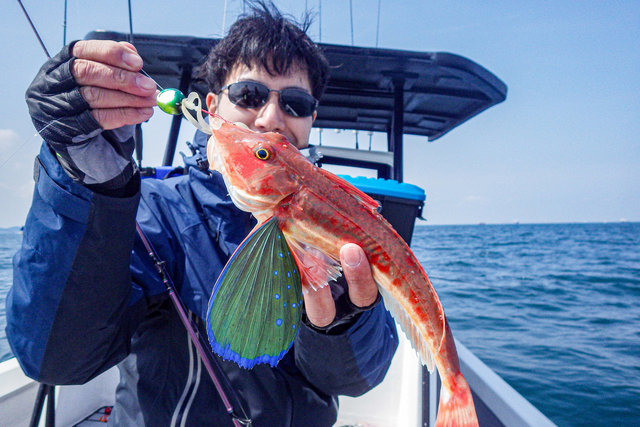 キハダキャスティングおすすめ!DAIWA『ブラストC80MS & C83MHS