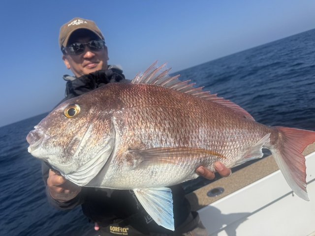 ヒラマサ・ブリ - 魚種からコンテンツを探す [釣具のキャスティング]