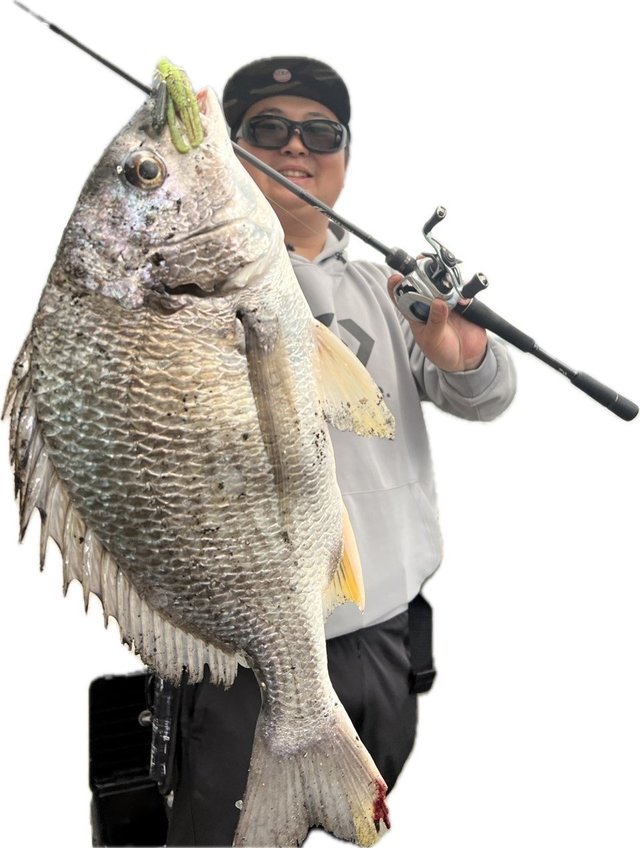 DAIWA（釣り） 【目玉商品】ダイワ 22 シルバーウルフ MX 76MLB