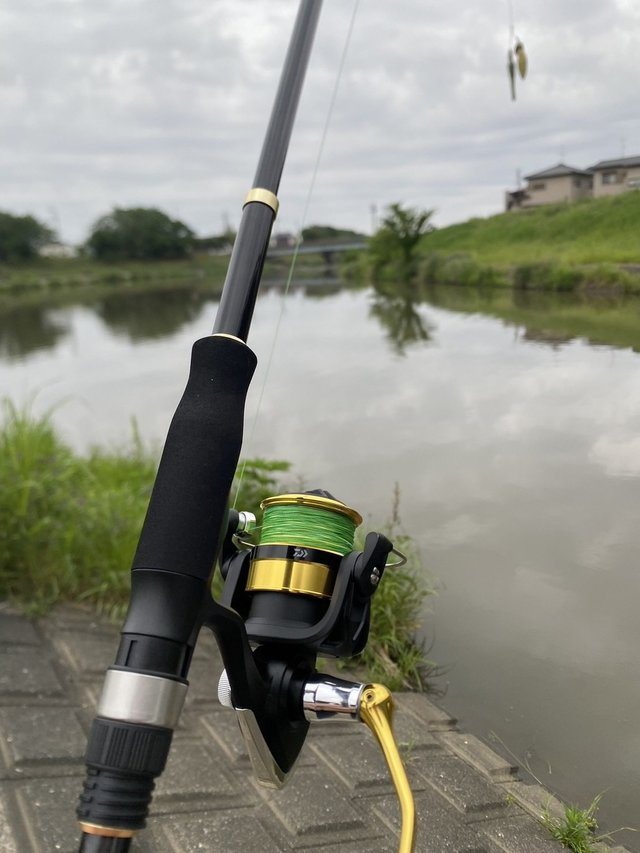 2025年05月24日(土) 東京都 オンラインストア本店の釣果です