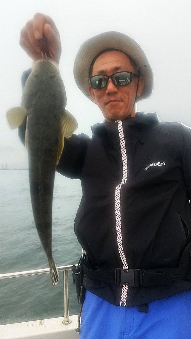 ダイワ メタリア ビシアジ M-170・V (1ピース バットジョイント)【即日