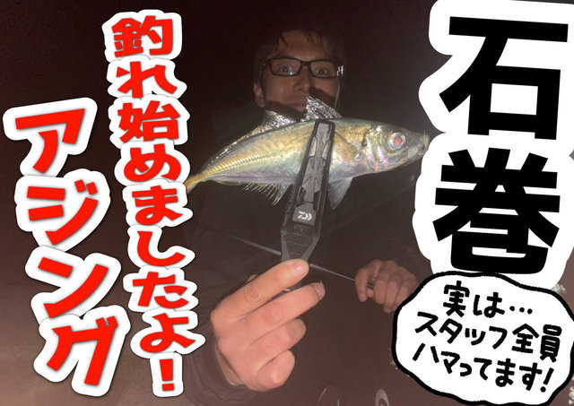超希少　ビルマ産　グラデーション翡翠　５５ｇ グランディディエライト マダガスカル産 0.16ct [250730673]3.5