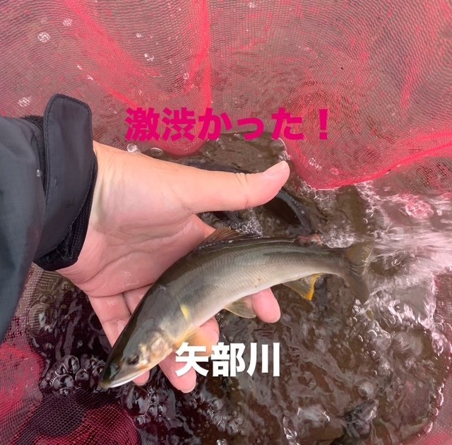 シーズン最終値下げ！メタコンポヘビー0.05号 0.07号0.1号　5個セット シーズン最終値下げ！メタコンポヘビー0.05号 0.07号0.1号 5個