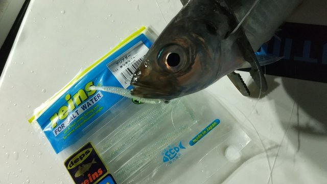 よつあみ エックスブレイド スーパージグマンX8 200m