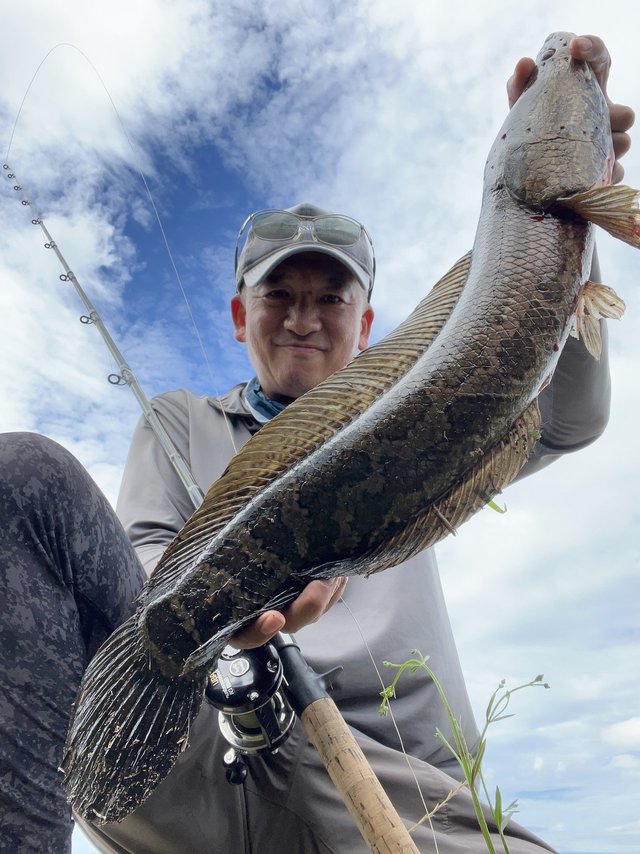 ｱﾌﾞｶﾞﾙｼｱ ｱﾝﾊﾞｻﾀﾞｰ ﾌｧｸﾄﾘｰﾁｭｰﾝ 6600CA Factory Tuned ﾌﾞﾗｯｸ 右ﾊﾝﾄﾞﾙ