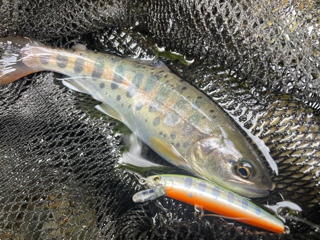 Hiroki.T | もう9月かよ 渓流も間もなく禁漁へ… あと何回行ける