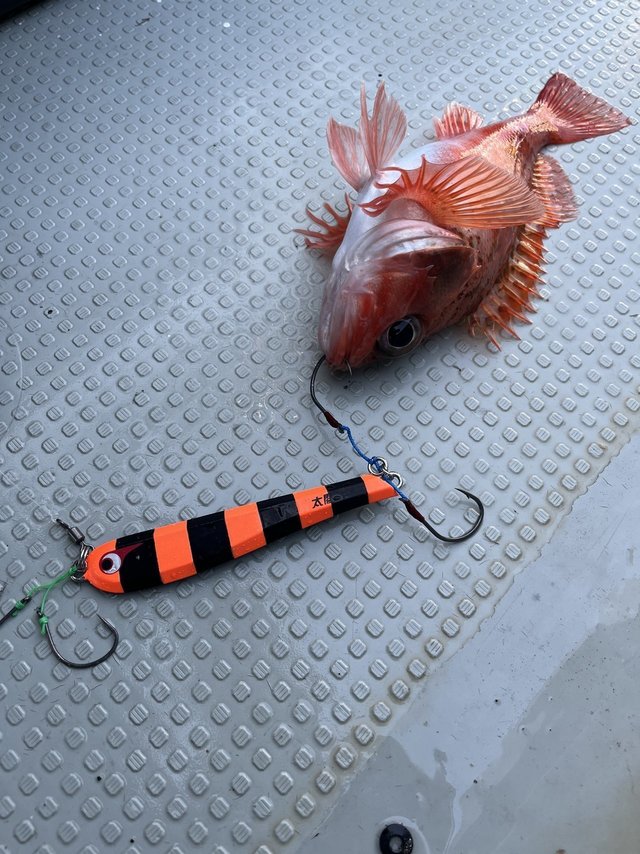 テンリュウ オフショアロッド ホライゾンMJ HMJ642B-L　（ベイト・2ピース） テンリュウ オフショアロッド ホライゾンMJ HMJ642B-L （ベイト・2