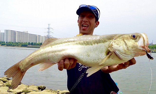 よつあみ Xブレイド アップグレード X8 200m 25LB(1.2号)【即日