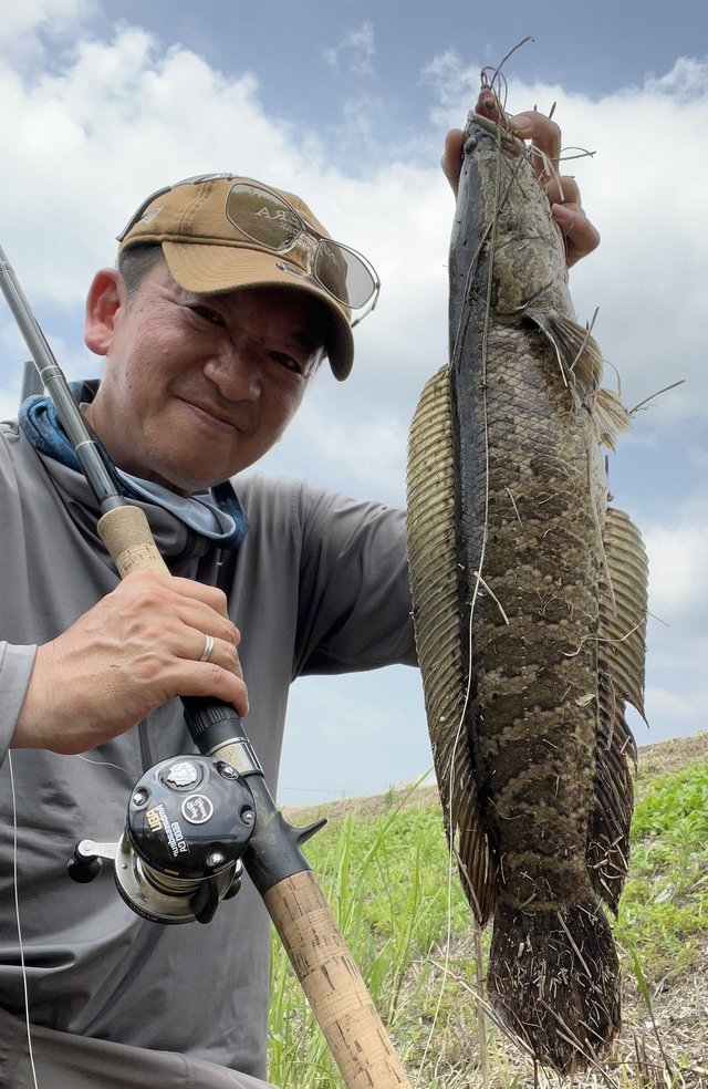 アンバサダー6600CA ファクトリーチューンド ブラック右巻き 香西釣具店 ｜ バス