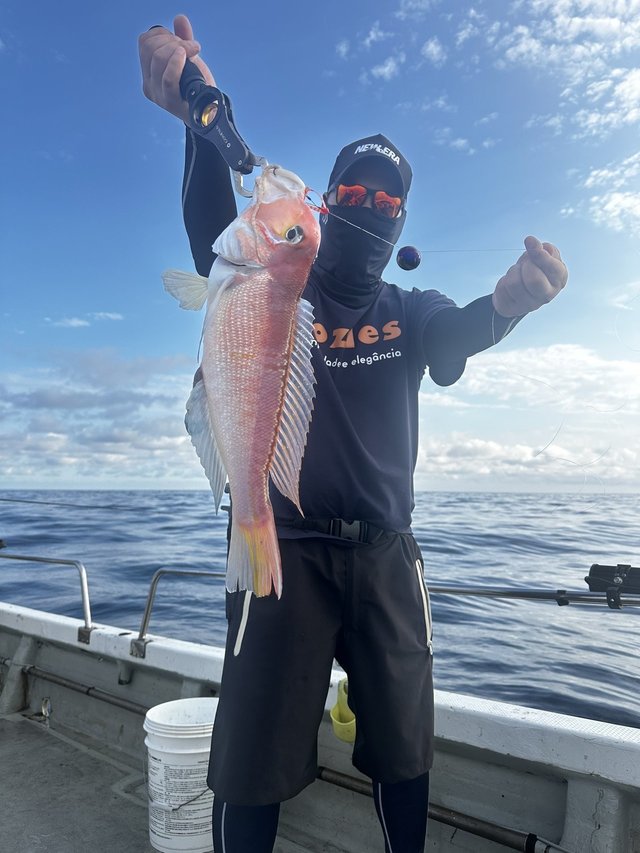 テンリュウ オフショアロッド ホライゾンMJ HMJ642B-LL （ベイト・2