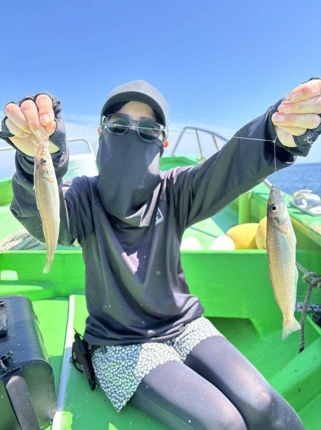 シマノ ロックフィッシュロッド ハードロッカーSS S73L/M-S