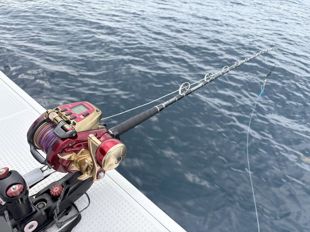 ダイワ★シーボーグ釣り電動リール美品魚船海 ダイワ '24 シーボーグ G800MJ - フィッシングショップ オンリーワン